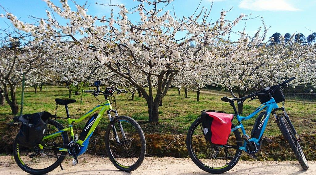 Ya está en marcha la nueva empresa Biking Through Spain