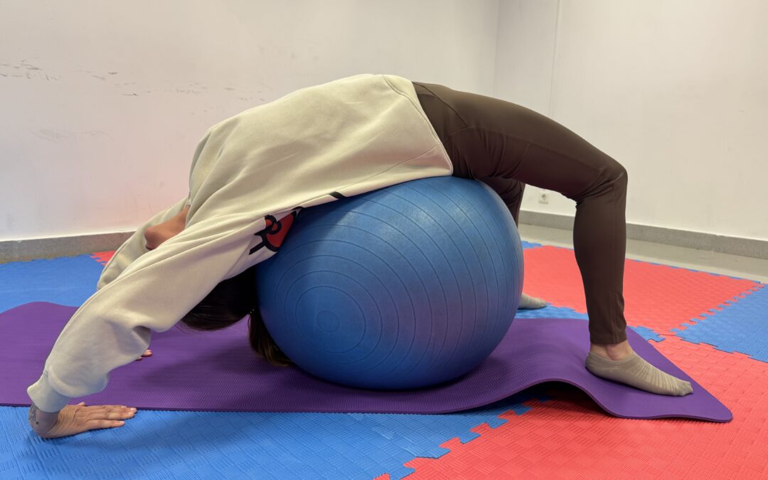 Pilates Zorua Fitballekin