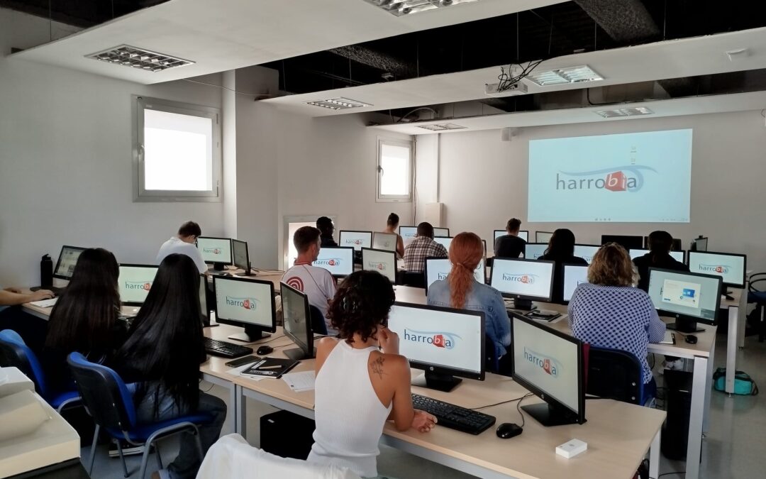 Mikroinformatika-sistemak