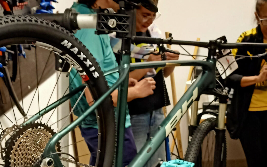 Mendiko Bizikleta gidatzea, mekanika, mantentzea eta Trail Building