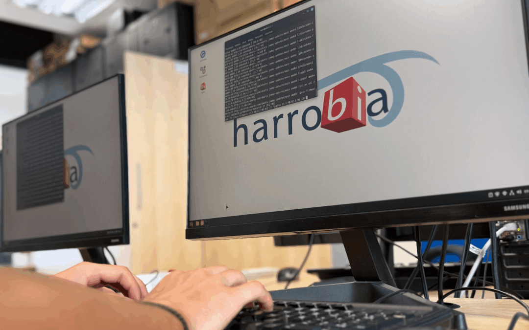 Interneteko oinarrizko ikastaroa: sare sozialak, deskargak, emailak, hodeiak, etab.