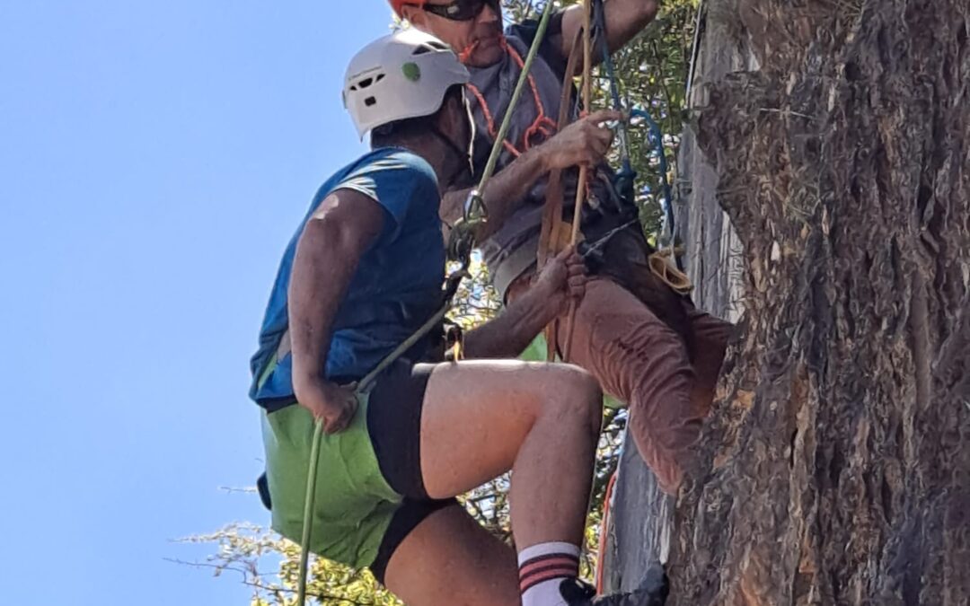 Técnico en trabajos de Altura. Curso teórico -práctico